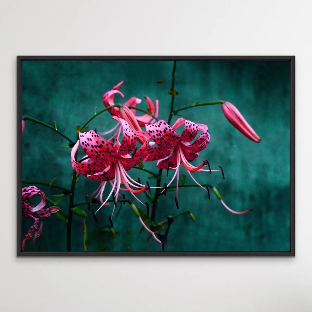 Come Find Me - Green and Pink Photographic Print on Canvas or Paper I Heart Wall Art Australia 