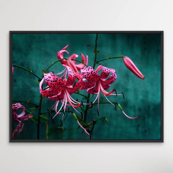 Come Find Me - Green and Pink Photographic Print on Canvas or Paper I Heart Wall Art Australia 