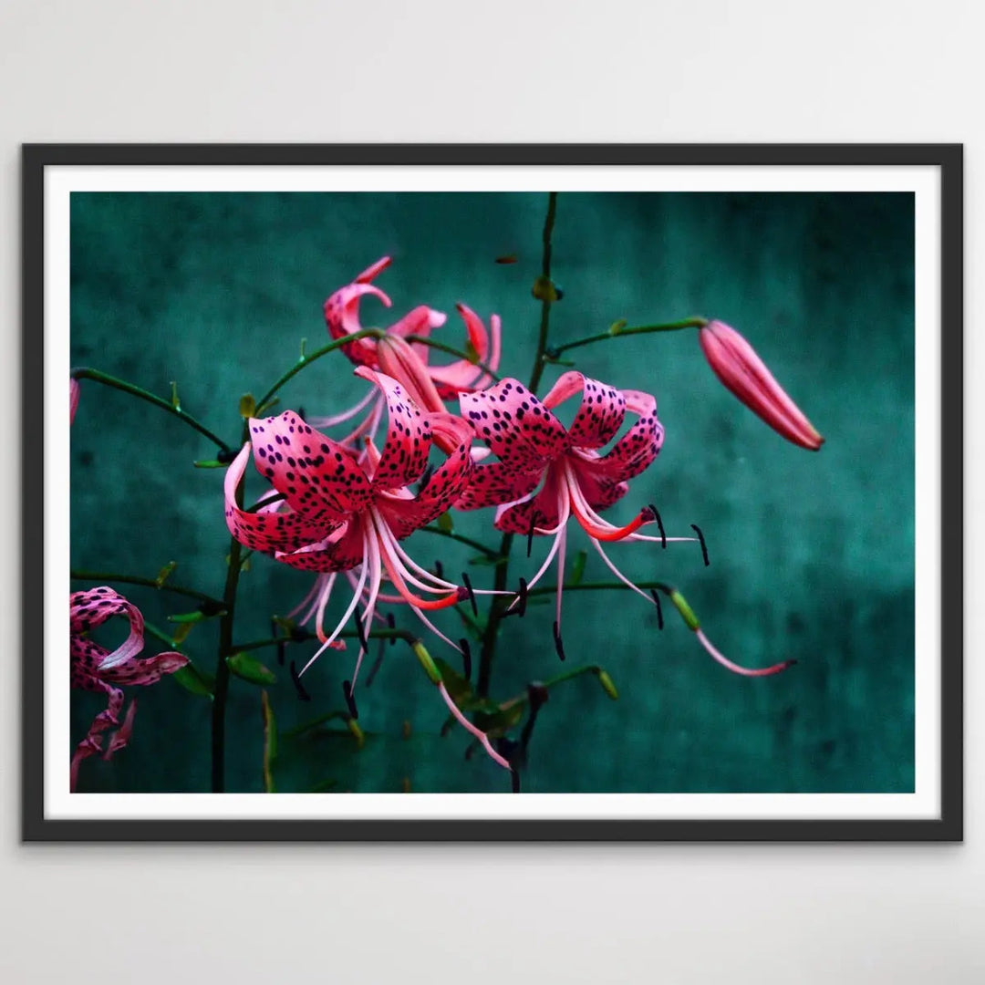 Come Find Me - Green and Pink Photographic Print on Canvas or Paper I Heart Wall Art Australia 