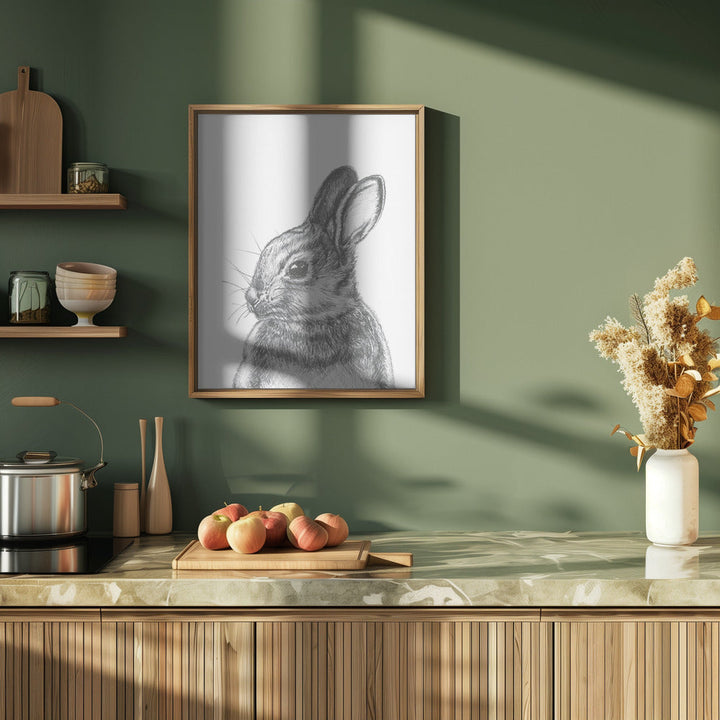 Cottantail - Stretched Canvas, Poster or Fine Art Print I Heart Wall Art