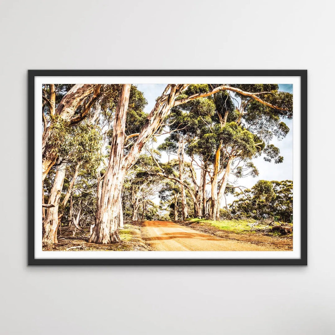 Country Road -  Original Australian Bush Road Nature Painting Stretched Canvas Wall Art Print I Heart Wall Art Australia 