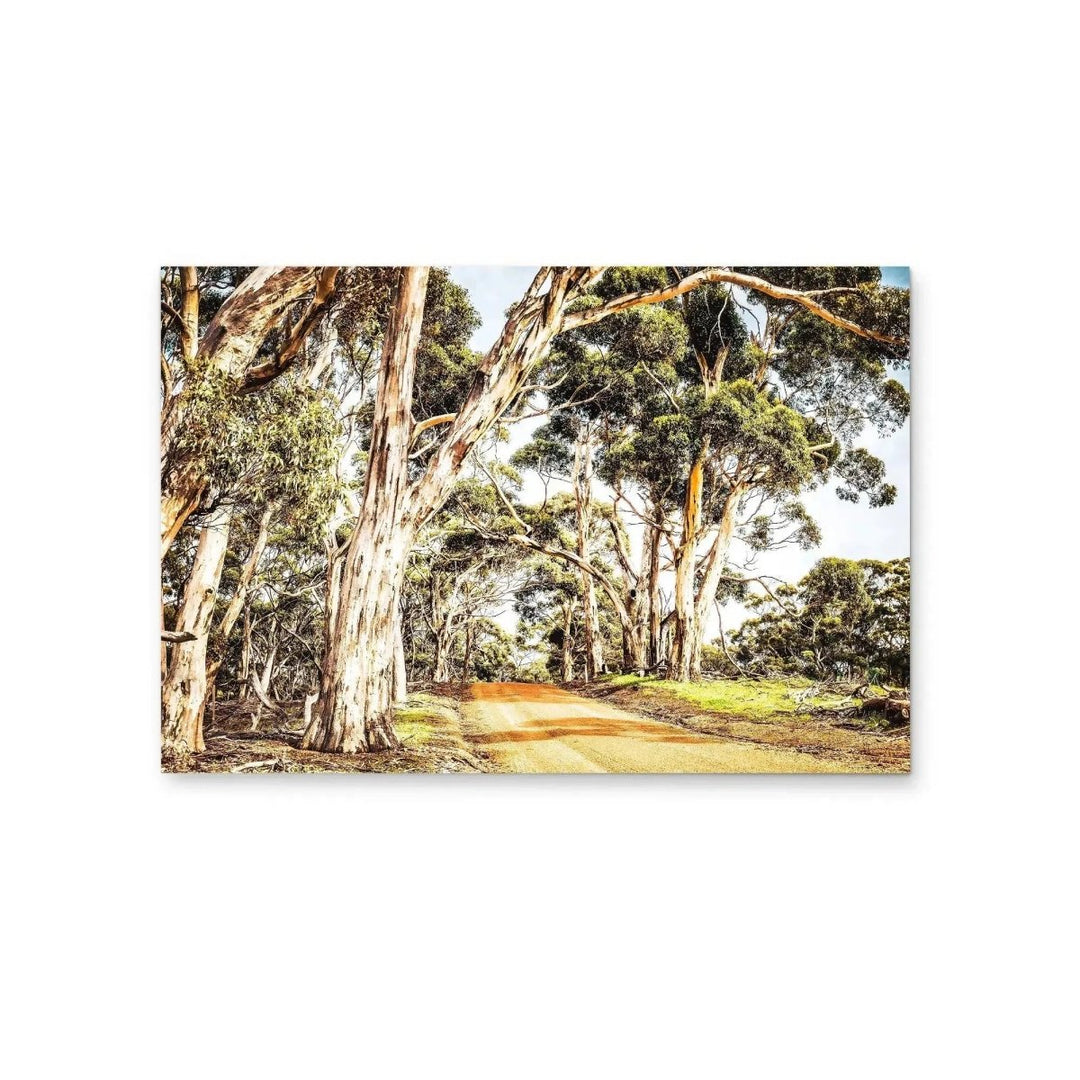 Country Road - Original Australian Bush Road Nature Painting Stretched Canvas Wall Art Print - I Heart Wall Art - Poster Print, Canvas Print or Framed Art Print
