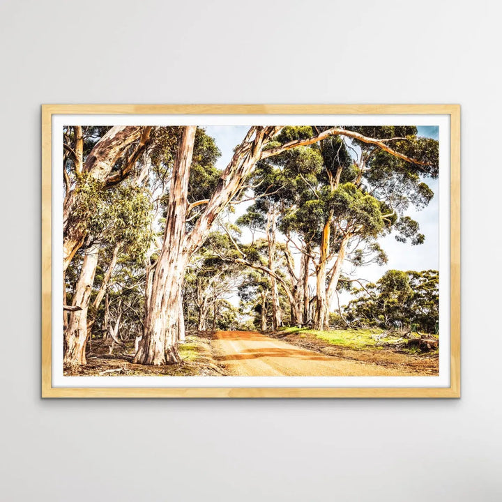 Country Road -  Original Australian Bush Road Nature Painting Stretched Canvas Wall Art Print I Heart Wall Art Australia 