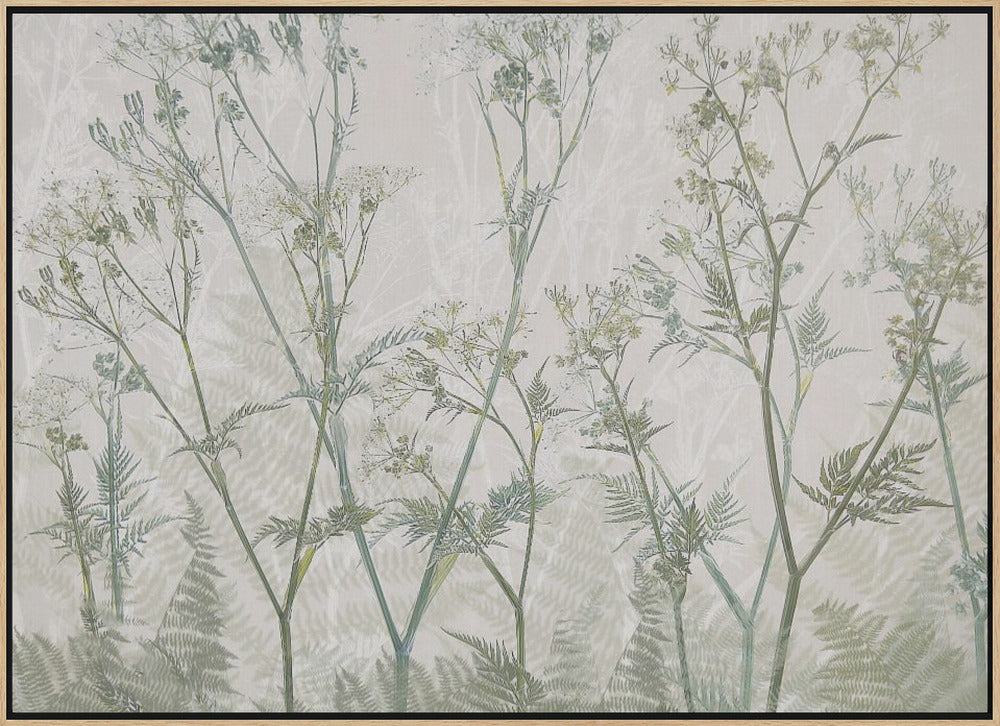 Cow parsley - Stretched Canvas, Poster or Fine Art Print I Heart Wall Art