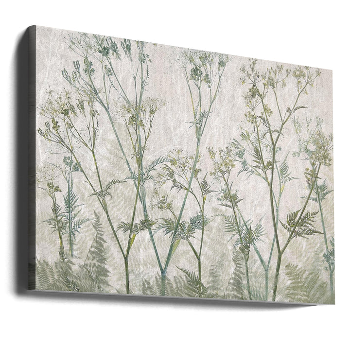 Cow parsley - Stretched Canvas, Poster or Fine Art Print I Heart Wall Art