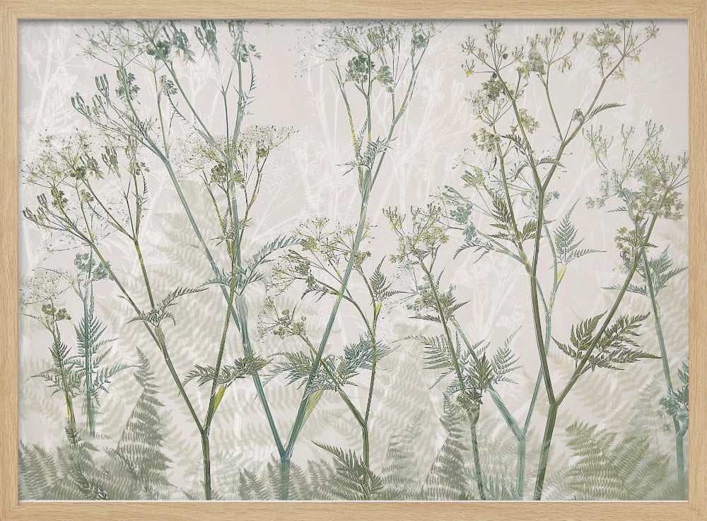 Cow parsley - Stretched Canvas, Poster or Fine Art Print I Heart Wall Art