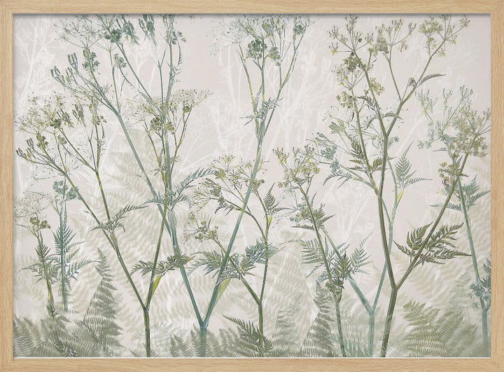 Cow parsley - Stretched Canvas, Poster or Fine Art Print I Heart Wall Art