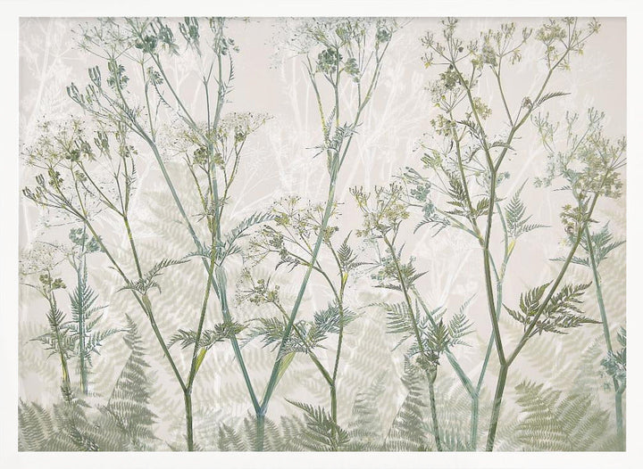 Cow parsley - Stretched Canvas, Poster or Fine Art Print I Heart Wall Art