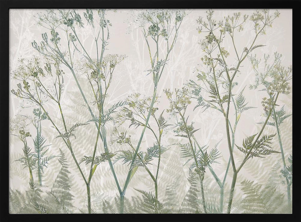 Cow parsley - Stretched Canvas, Poster or Fine Art Print I Heart Wall Art