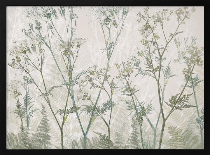 Cow parsley - Stretched Canvas, Poster or Fine Art Print I Heart Wall Art