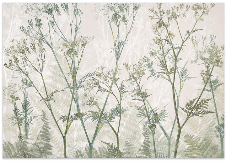 Cow parsley - Stretched Canvas, Poster or Fine Art Print I Heart Wall Art