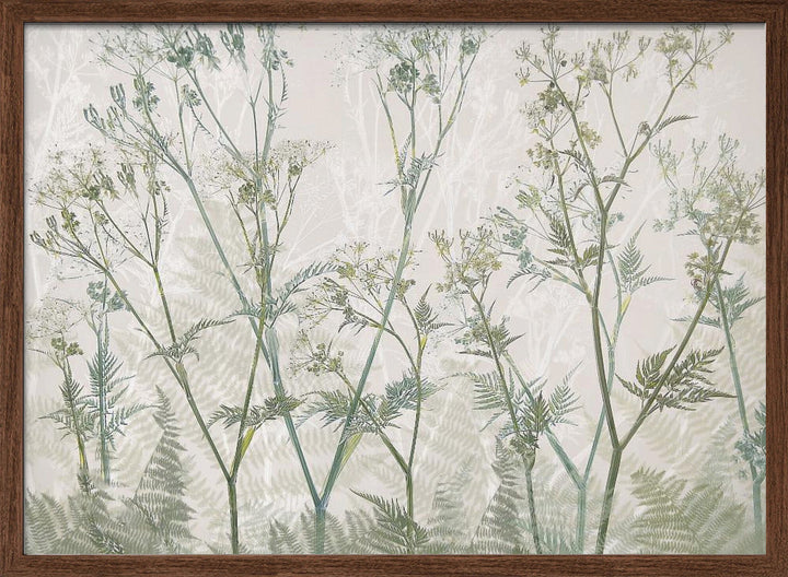 Cow parsley - Stretched Canvas, Poster or Fine Art Print I Heart Wall Art