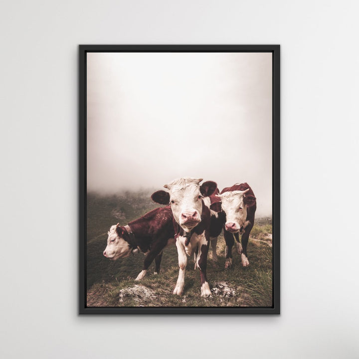 Cows In The Clouds - Brown Photographic Cow Art Print I Heart Wall Art Australia 