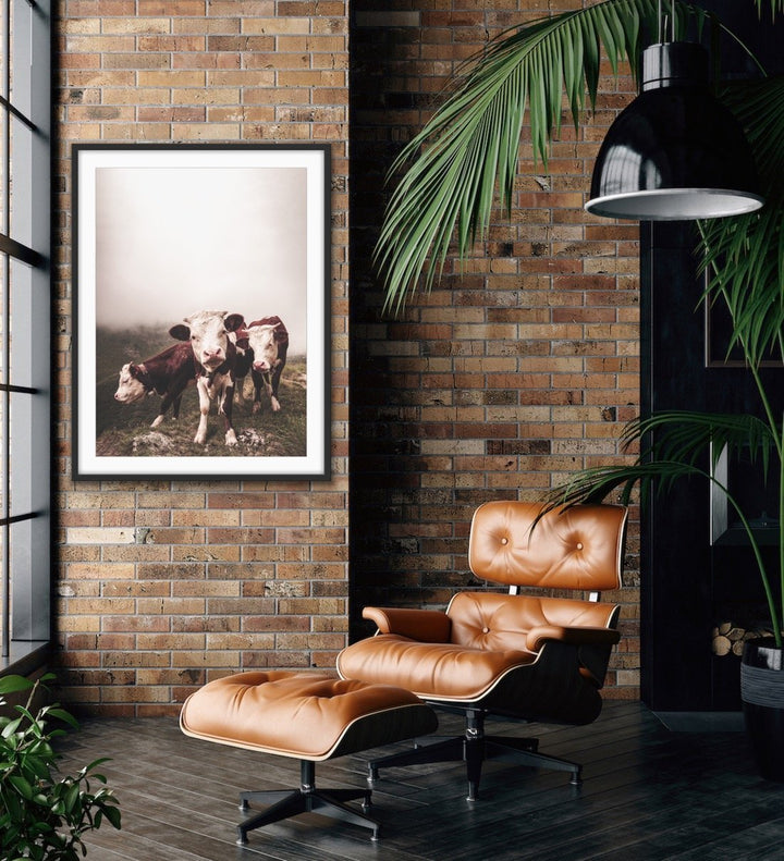 Cows In The Clouds - Brown Photographic Cow Art Print I Heart Wall Art Australia 