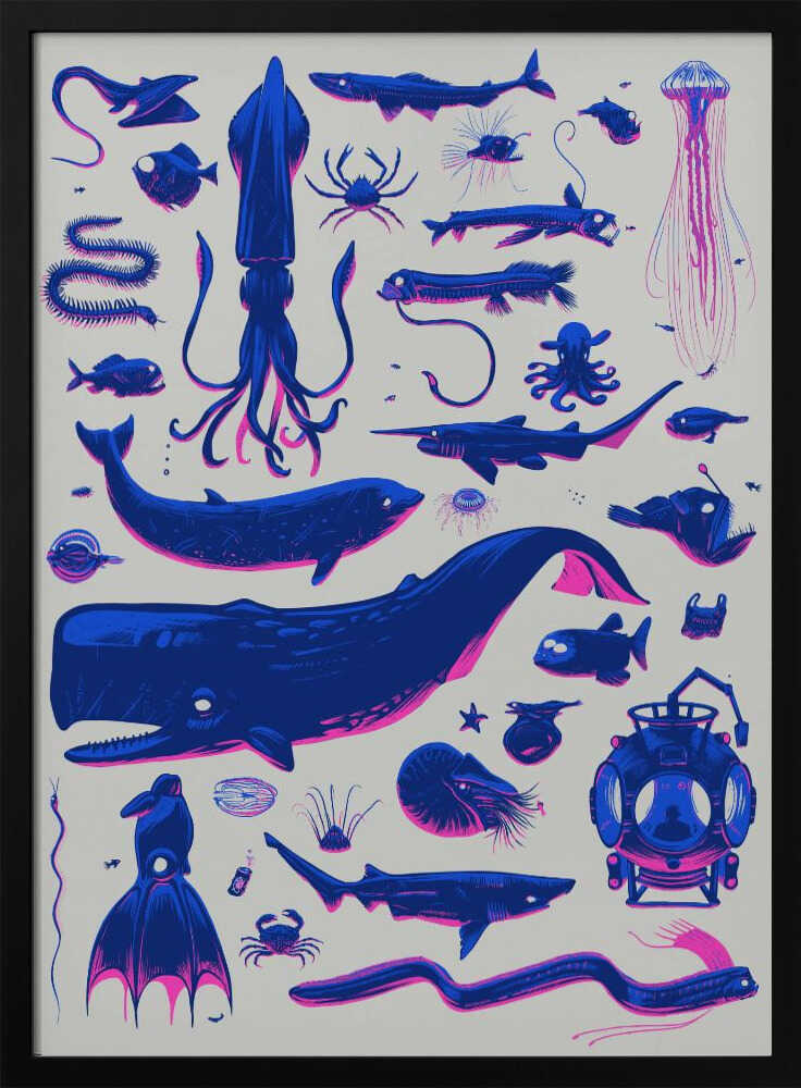 Creatures of the Deep - Stretched Canvas, Poster or Fine Art Print - I Heart Wall Art - Poster Print, Canvas Print or Framed Art Print