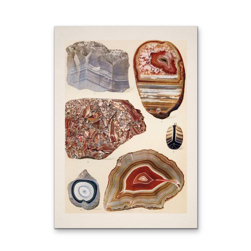 Crystal Identification Chart 14 - Stretched Canvas or Wall Art Print - I Heart Wall Art - Poster Print, Canvas Print or Framed Art Print