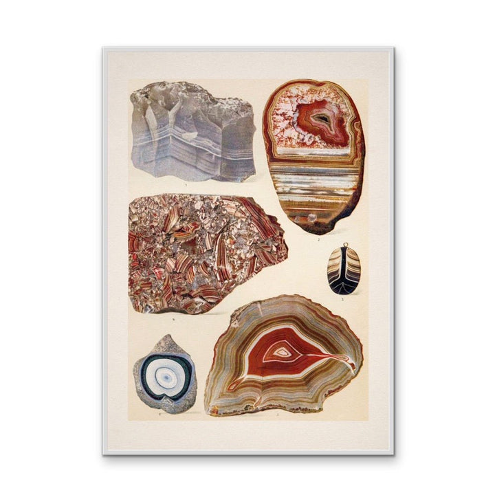 Crystal Identification Chart 14 - Stretched Canvas or Wall Art Print - I Heart Wall Art - Poster Print, Canvas Print or Framed Art Print