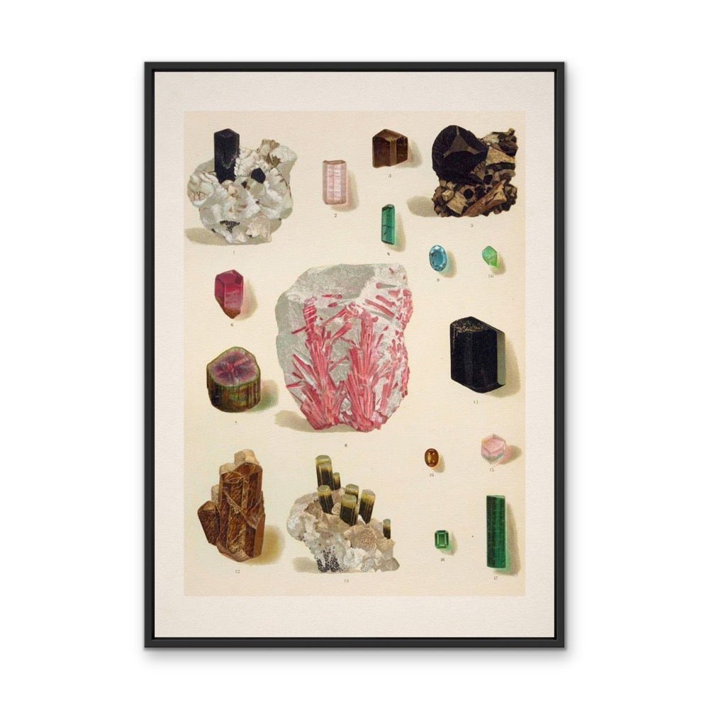 Crystal Identification Chart 3 - Stretched Canvas or Wall Art Print - I Heart Wall Art - Poster Print, Canvas Print or Framed Art Print