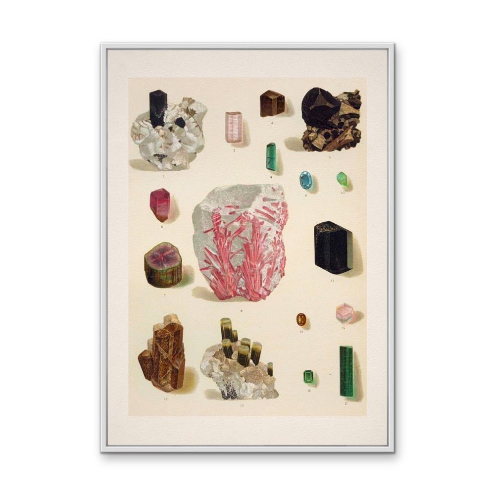 Crystal Identification Chart 3 - Stretched Canvas or Wall Art Print - I Heart Wall Art - Poster Print, Canvas Print or Framed Art Print