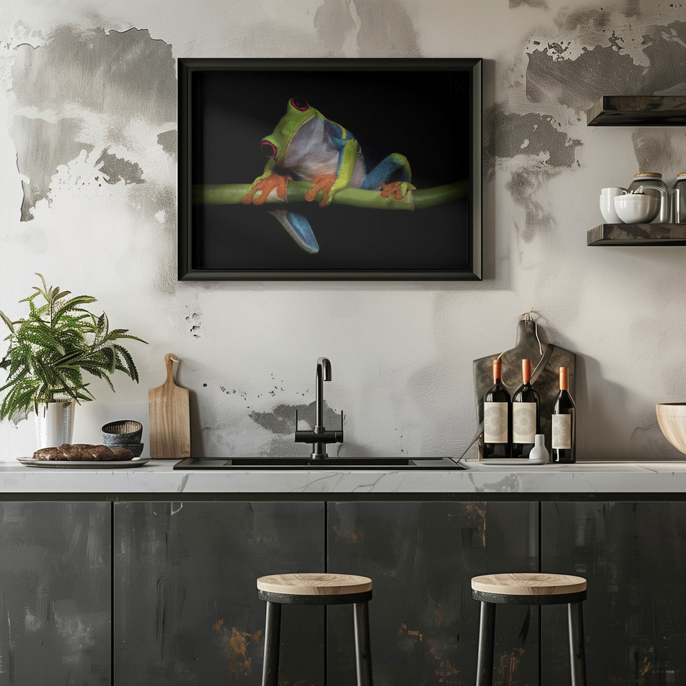 Curiosity - Stretched Canvas, Poster or Fine Art Print I Heart Wall Art