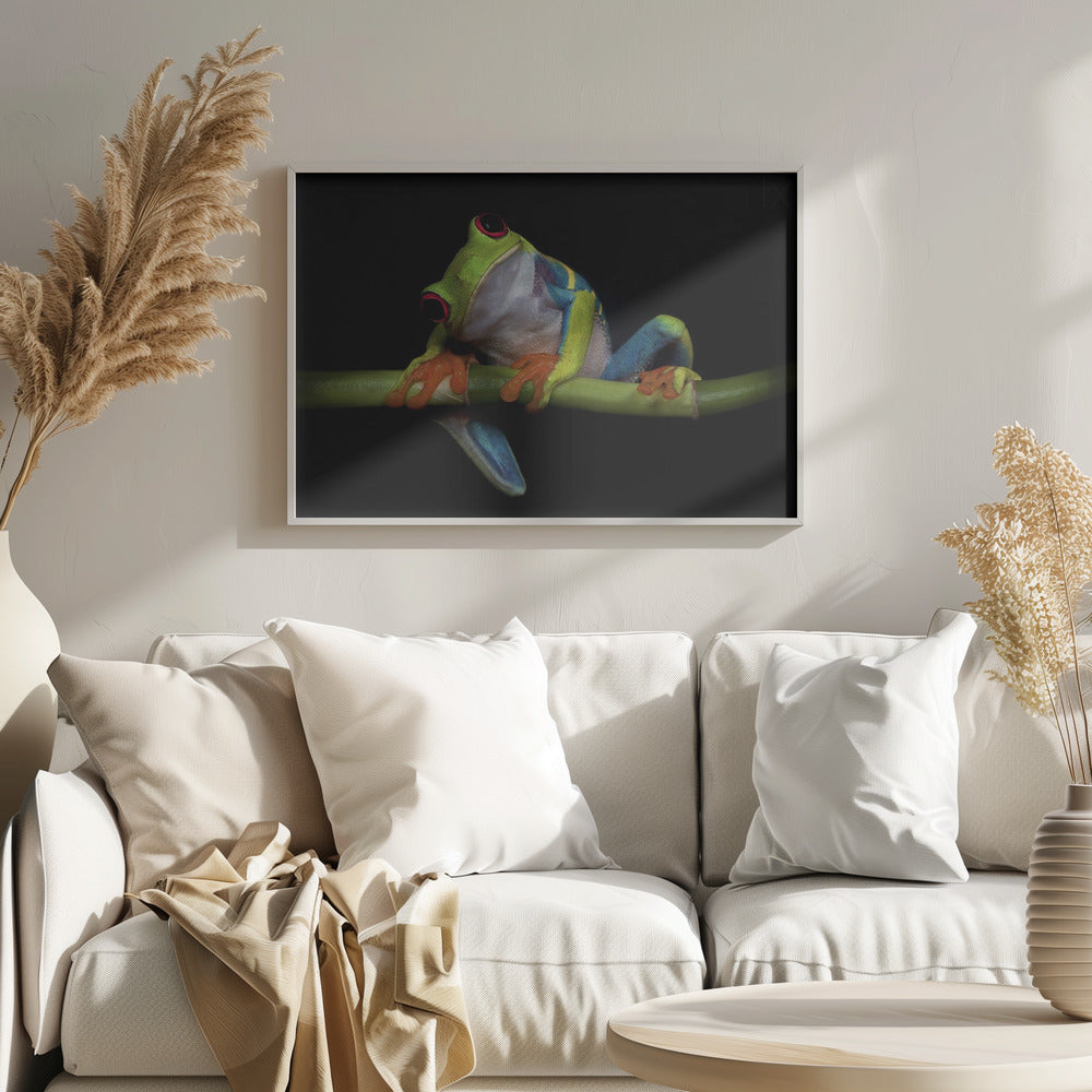 Curiosity - Stretched Canvas, Poster or Fine Art Print I Heart Wall Art