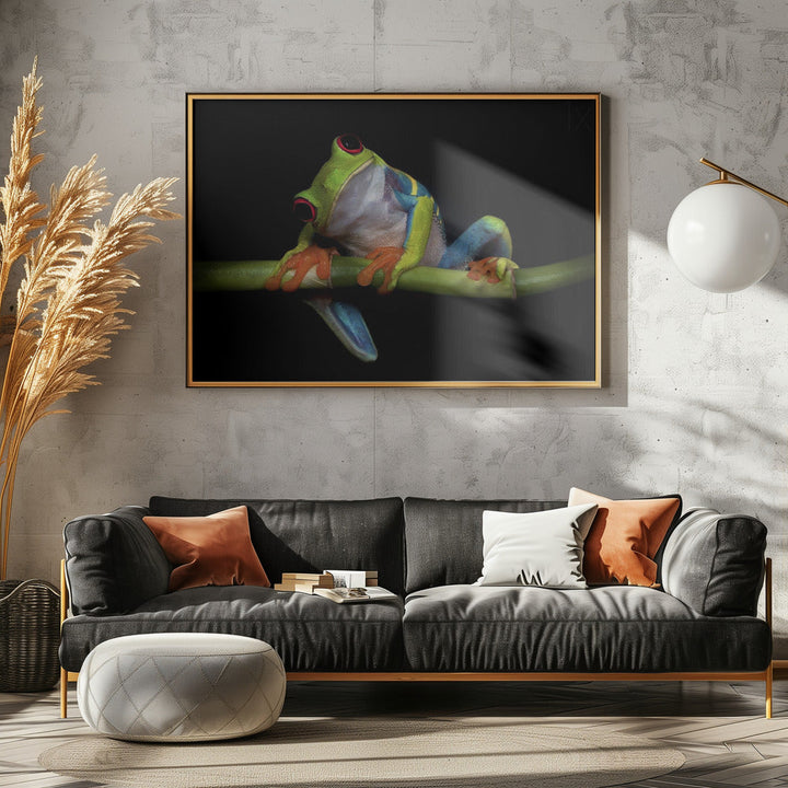Curiosity - Stretched Canvas, Poster or Fine Art Print I Heart Wall Art