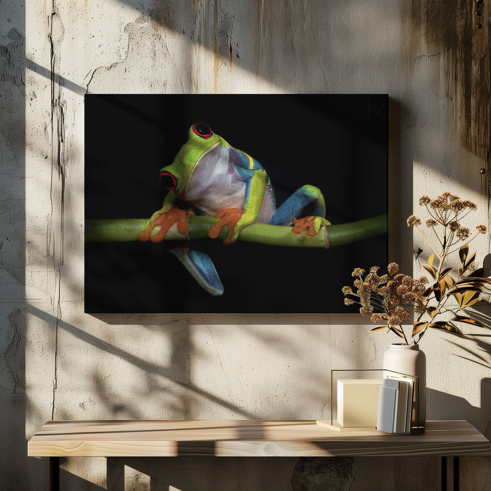 Curiosity - Stretched Canvas, Poster or Fine Art Print I Heart Wall Art