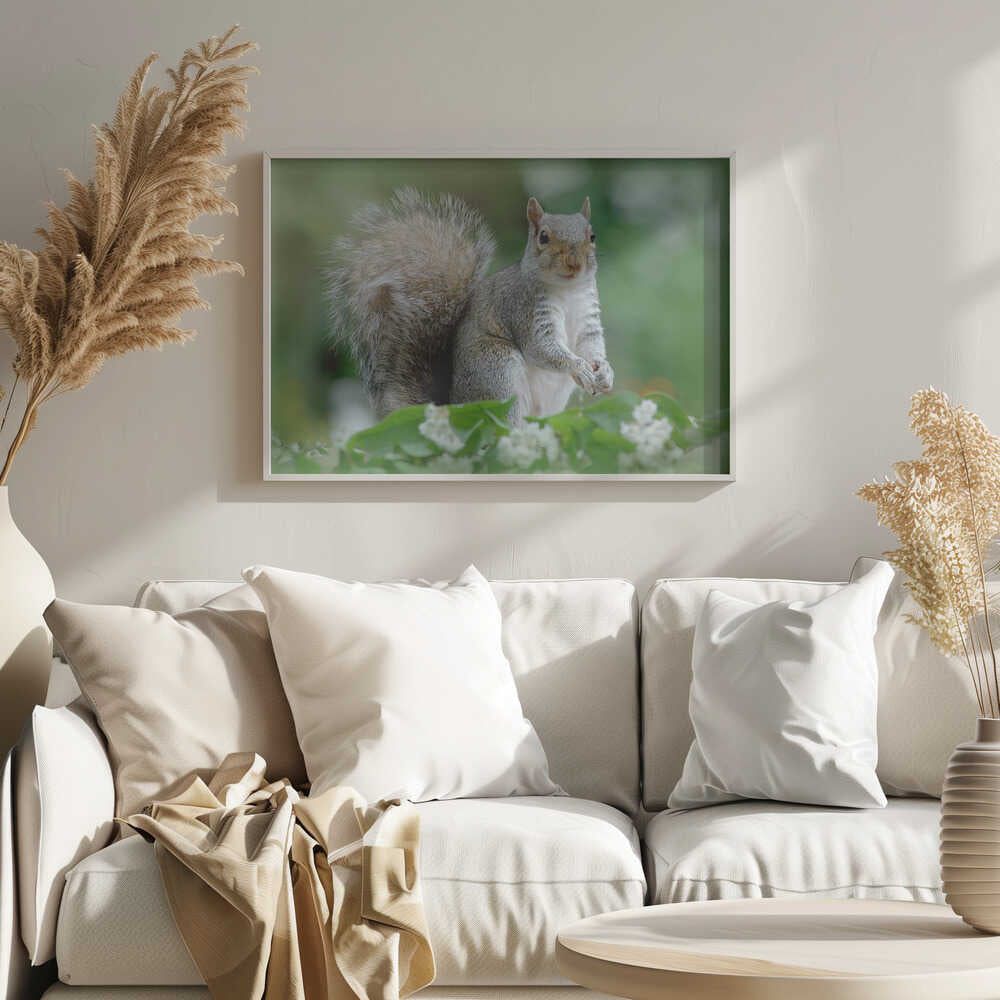 Curious Gray Squirrel - Floral Photographic Stretched Canvas Poster or Fine Art Print