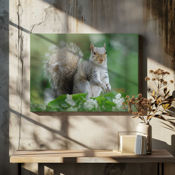 Curious Gray Squirrel - Floral Photographic Stretched Canvas Poster or Fine Art Print