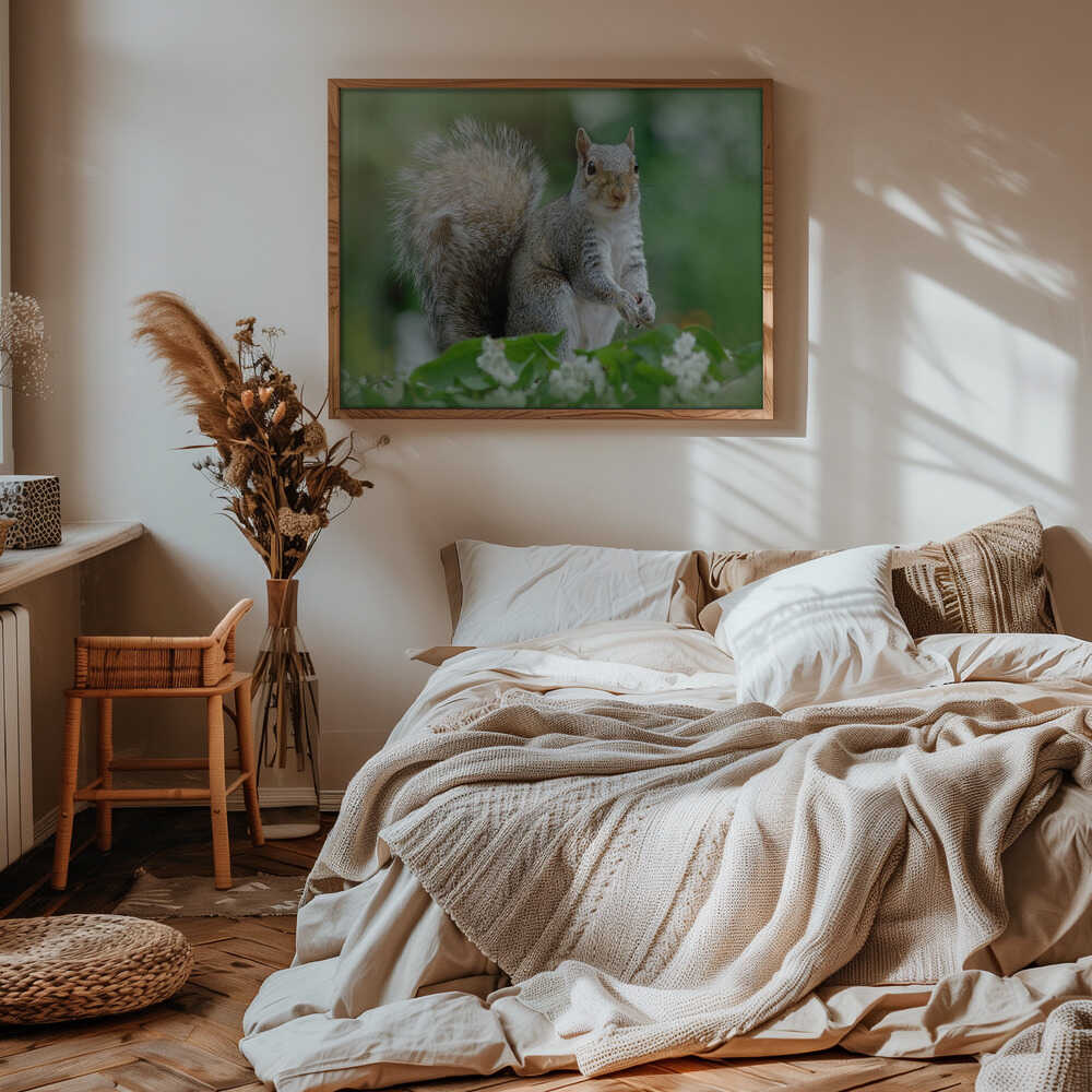 Curious Gray Squirrel - Floral Photographic Stretched Canvas Poster or Fine Art Print