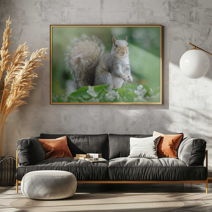Curious Gray Squirrel - Floral Photographic Stretched Canvas Poster or Fine Art Print