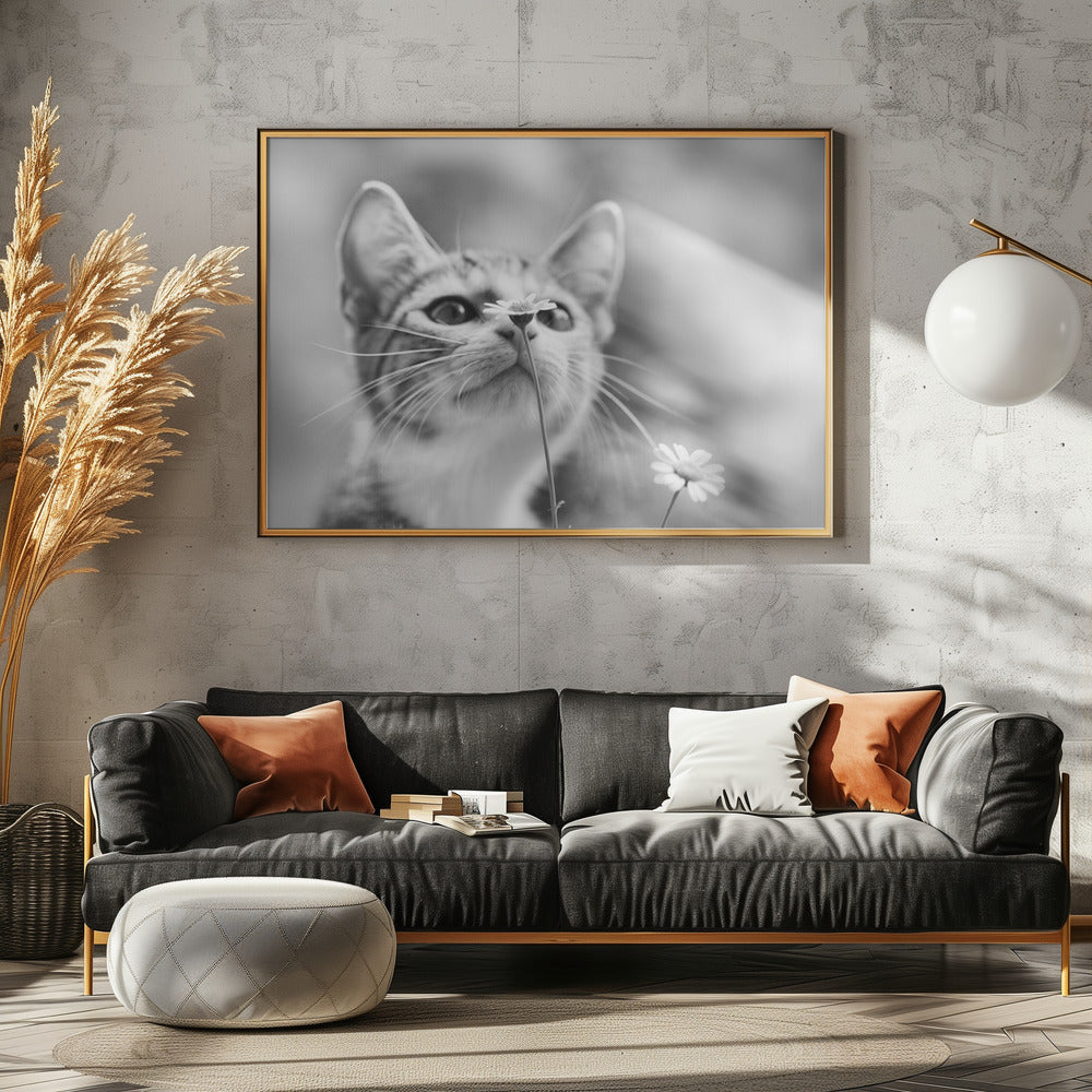 Curious - Stretched Canvas, Poster or Fine Art Print I Heart Wall Art