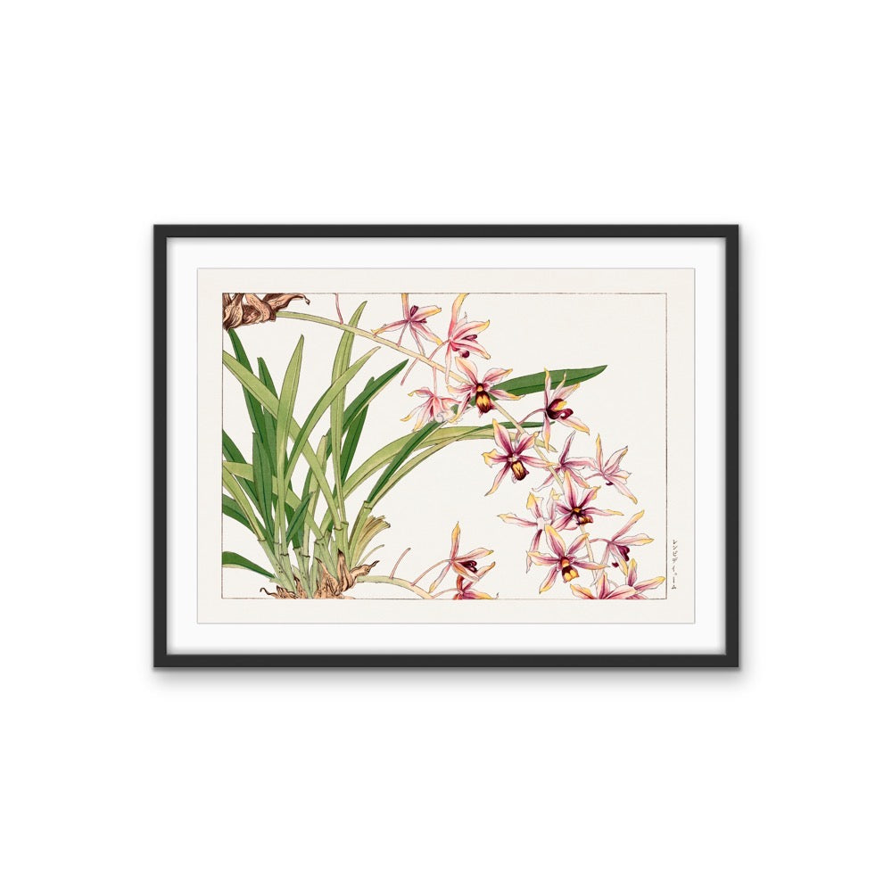 Cymbidium orchid - Vintage Japanese Woodblock Art, Stretched Canvas, Wall Art Print I Heart Wall Art Australia