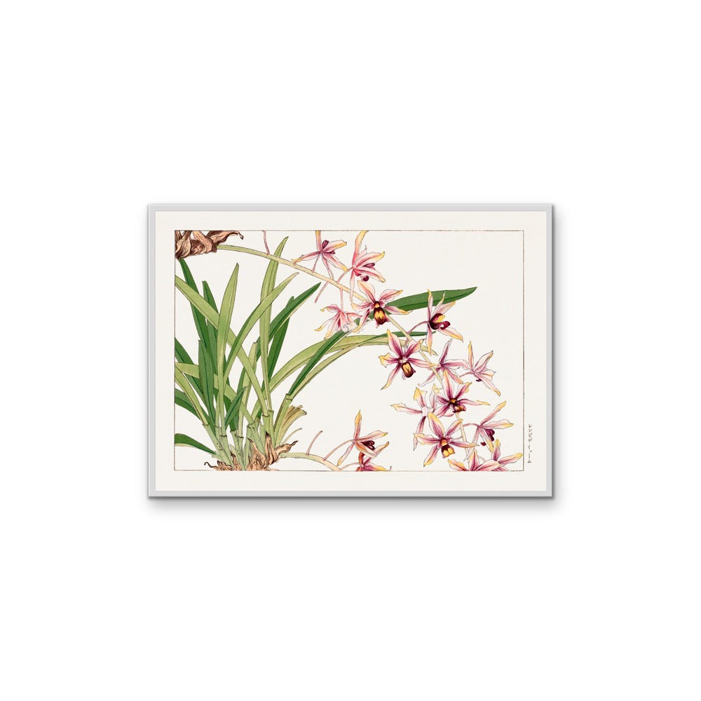 Cymbidium orchid - Vintage Japanese Woodblock Art, Stretched Canvas, Wall Art Print I Heart Wall Art Australia