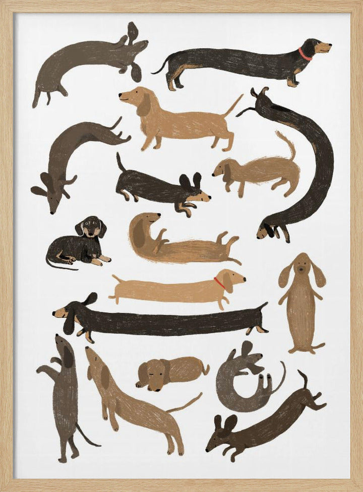 Dachshund Print - Stretched Canvas, Poster or Fine Art Print I Heart Wall Art