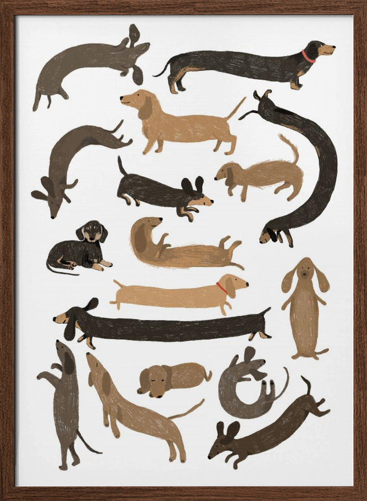 Dachshund Print - Stretched Canvas, Poster or Fine Art Print I Heart Wall Art