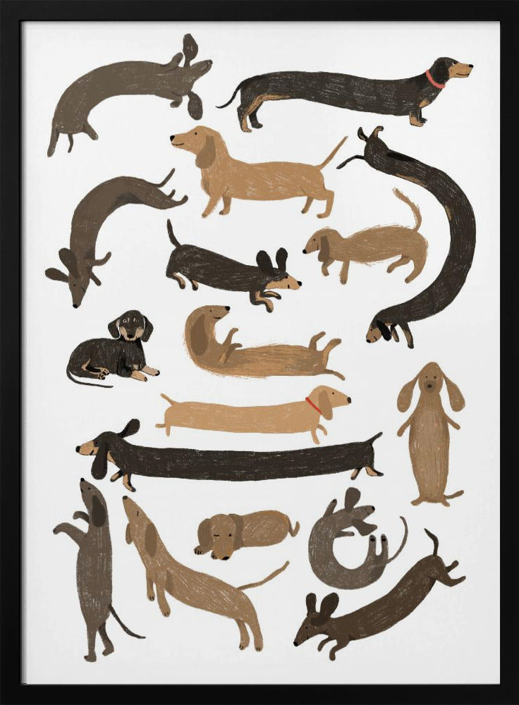 Dachshund Print - Stretched Canvas, Poster or Fine Art Print I Heart Wall Art