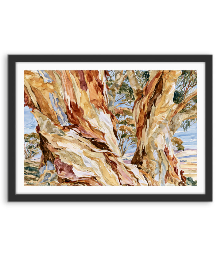 Dancing in Terracotta by IHeartStudio - Australian Eucalypt Bark Canvas Print