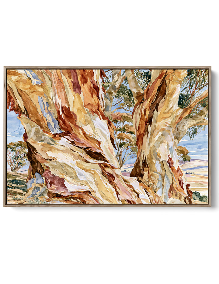 Dancing in Terracotta by IHeartStudio - Australian Eucalypt Bark Canvas Print