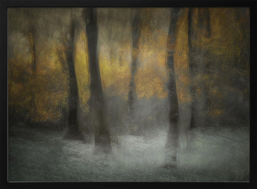 Dancing Trees - Stretched Canvas, Poster or Fine Art Print I Heart Wall Art