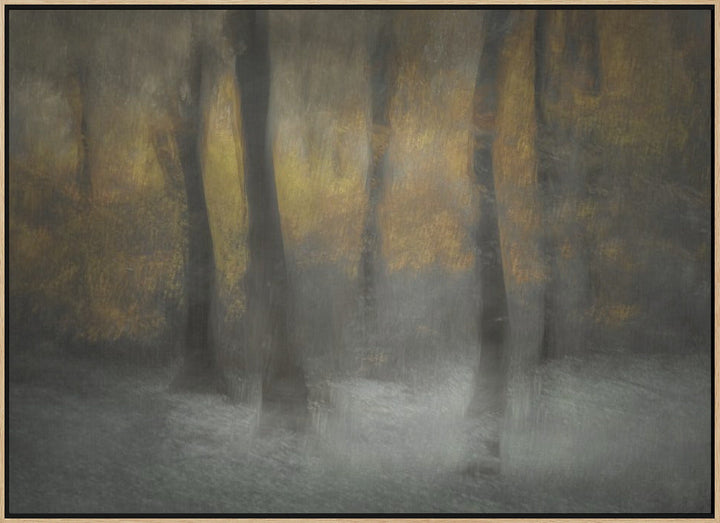 Dancing Trees - Stretched Canvas, Poster or Fine Art Print I Heart Wall Art
