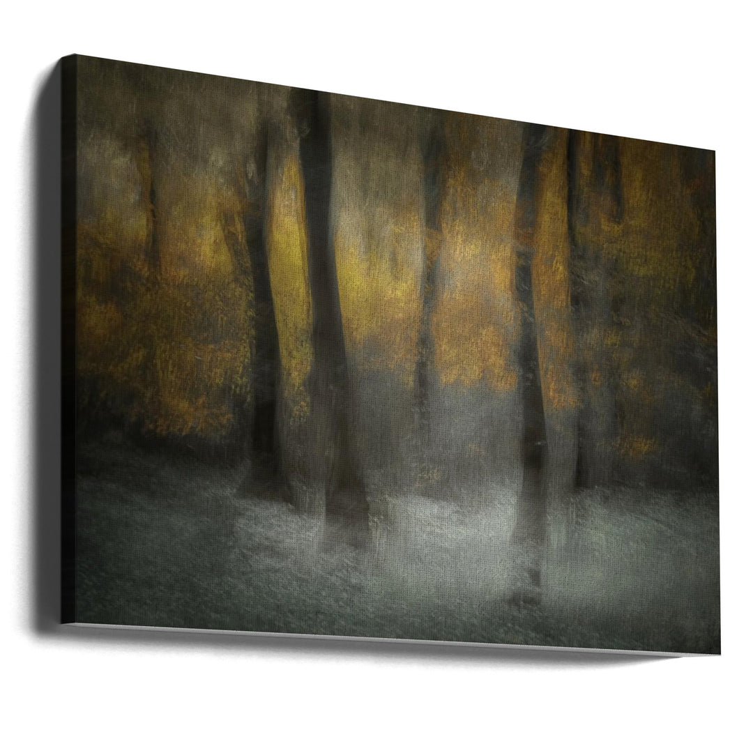 Dancing Trees - Stretched Canvas, Poster or Fine Art Print I Heart Wall Art
