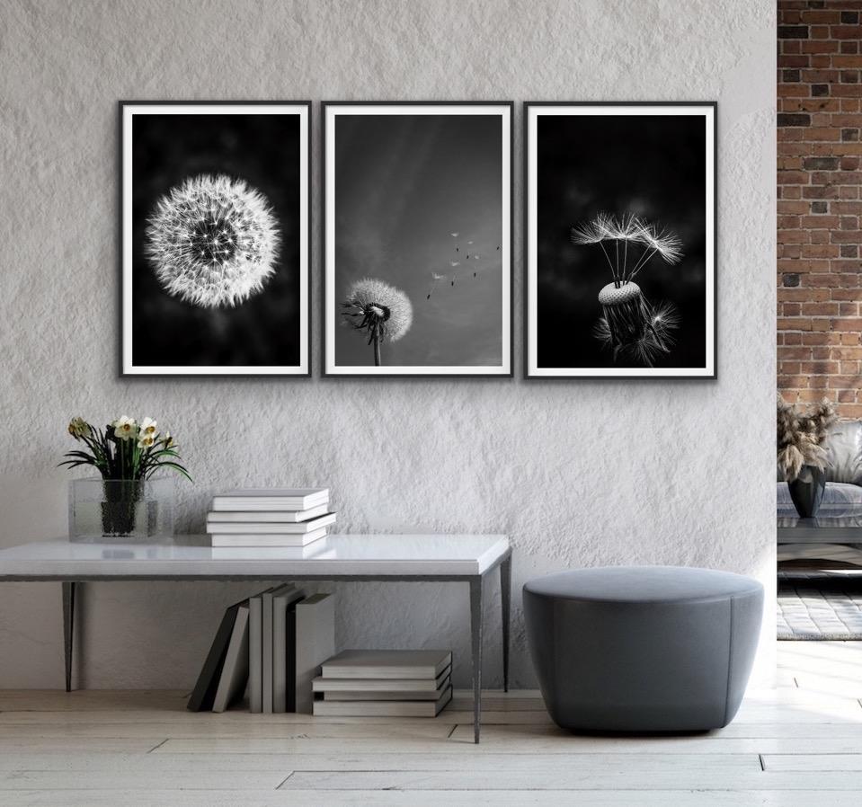 Dandelions - Three Piece Black and White Dandelions Art Print  Set Triptych - I Heart Wall Art