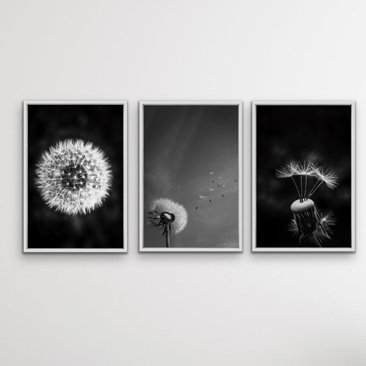 Dandelions - Three Piece Black and White Dandelions Art Print  Set Triptych - I Heart Wall Art