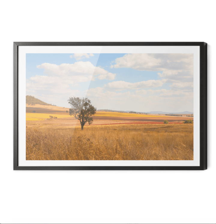 Darling Downs - Queensland Country Landscape Photographic Print by Edwina Cameron - I Heart Wall Art - Poster Print, Canvas Print or Framed Art Print