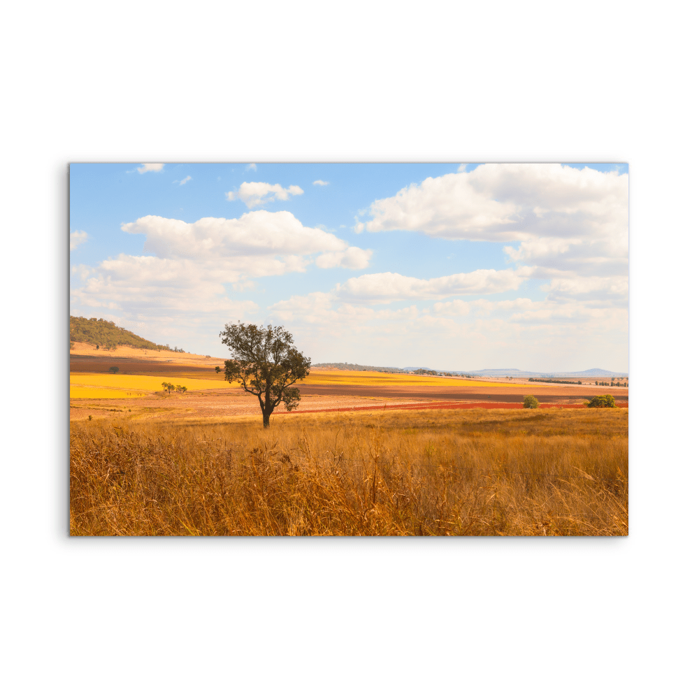 Darling Downs - Queensland Country Landscape Photographic Print by Edwina Cameron - I Heart Wall Art - Poster Print, Canvas Print or Framed Art Print