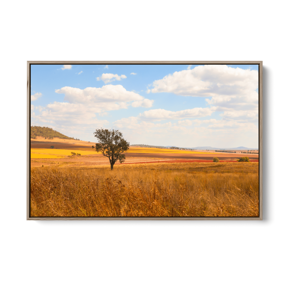 Darling Downs - Queensland Country Landscape Photographic Print by Edwina Cameron - I Heart Wall Art - Poster Print, Canvas Print or Framed Art Print