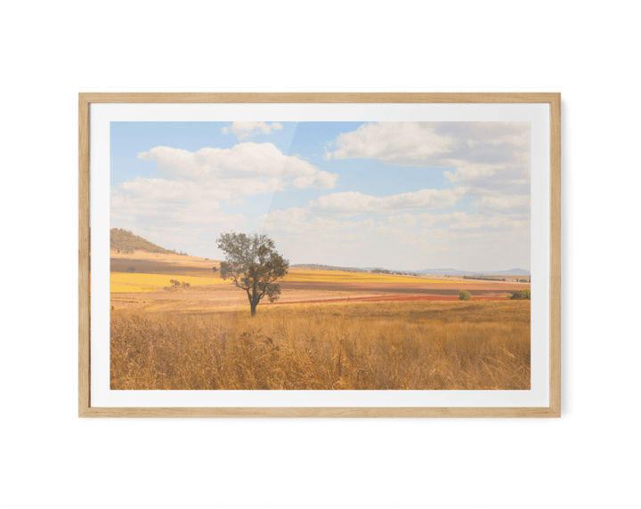 Darling Downs - Queensland Country Landscape Photographic Print by Edwina Cameron - I Heart Wall Art - Poster Print, Canvas Print or Framed Art Print