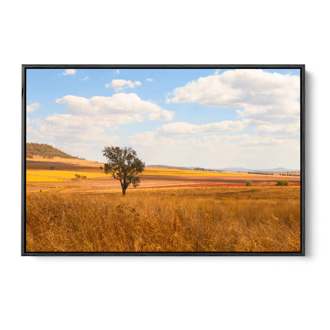 Darling Downs - Queensland Country Landscape Photographic Print by Edwina Cameron - I Heart Wall Art - Poster Print, Canvas Print or Framed Art Print