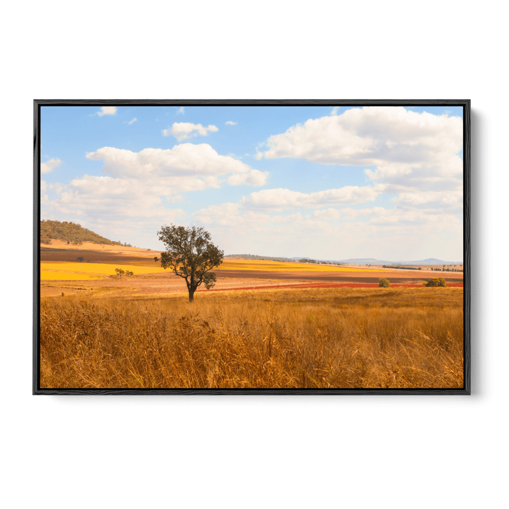 Darling Downs - Queensland Country Landscape Photographic Print by Edwina Cameron - I Heart Wall Art - Poster Print, Canvas Print or Framed Art Print